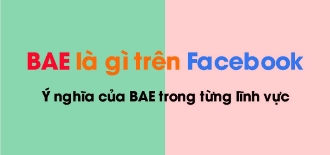 Bae là gì sẽ khác nhau ở mỗi lĩnh vực mà nó có mặt