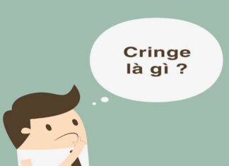Cringe là gì và các thông tin giải thích về Cringe cần biết Các điểm cần lưu ý khi phát triển
