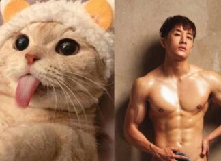 Mlem là gì với các lời giải đáp thắc mắc chi tiết nhất Ý nghĩa mlem là gì trên Facebook?