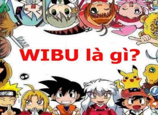 Wibu là gì ?Tìm hiểu dấu hiệu nhận biết người bị Wibu Wibu là gì?