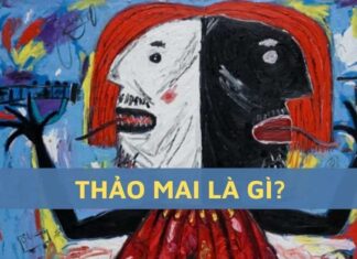 Nguồn gốc của từ thảo mai? Các đặc điểm của người thảo mai Nguồn gốc từ thảo mai