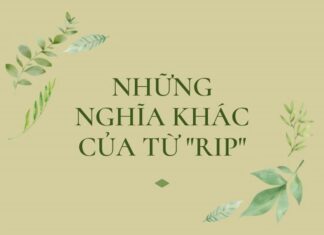 Ý nghĩa của RIP và Cách sử dụng từ RIP cho phù hợp Ý nghĩa của từ RIP
